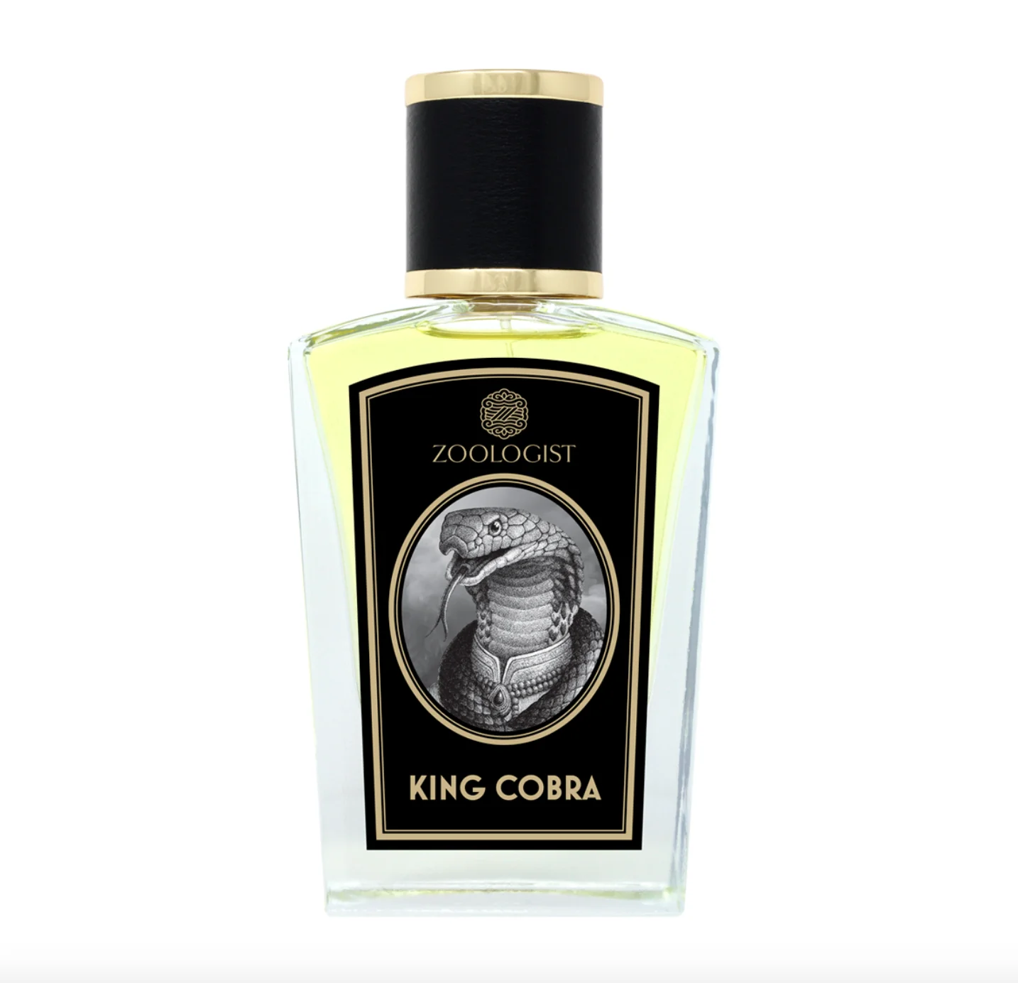 Zoologist King Cobra